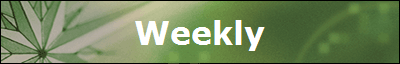 Weekly